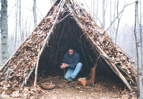  The Forest: ¿Un refugio de pesadilla o un sueño hecho realidad en el mundo salvaje?